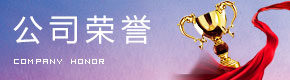 公司荣誉